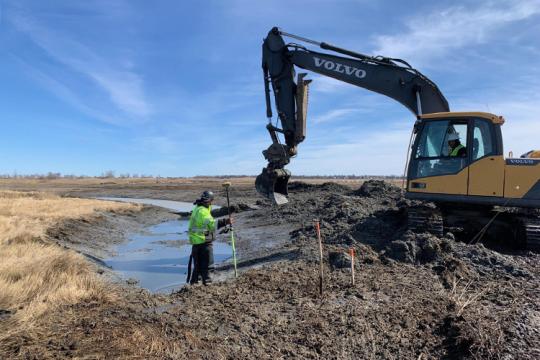 Construction equipment and workers in a wetland
