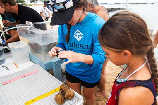 two girls look up close at a coral sample