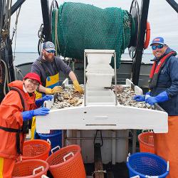 hree people standing on deck of a trawl fishing vessel posing for a picture as they sort catch on a sorting table.