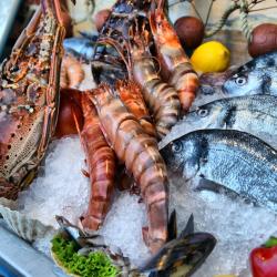 750x500-shutterstock_117262243.jpg Seafood on ice