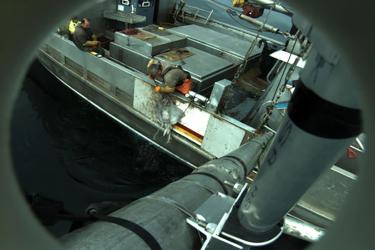 This on-board camera is filming activities on a fishing vessel