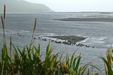 Grass in foreground, lagoon in middle ground and hills in the distance. 