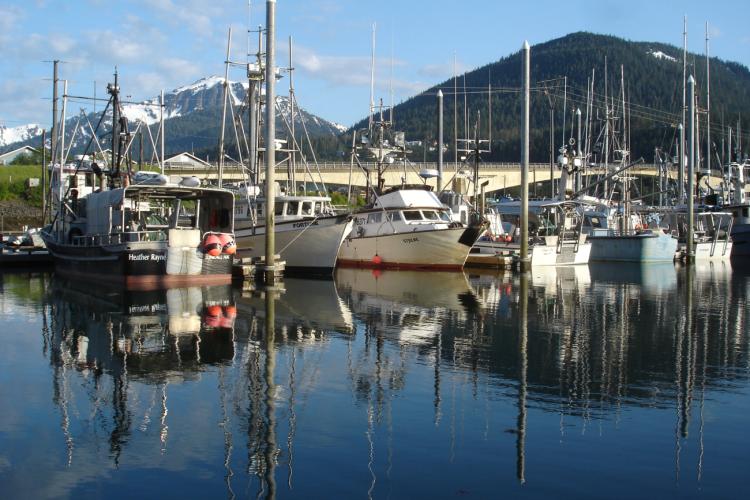 Multiple small boats docked at marina in Juneau, Alaska. Green and snowy mountains in the background.