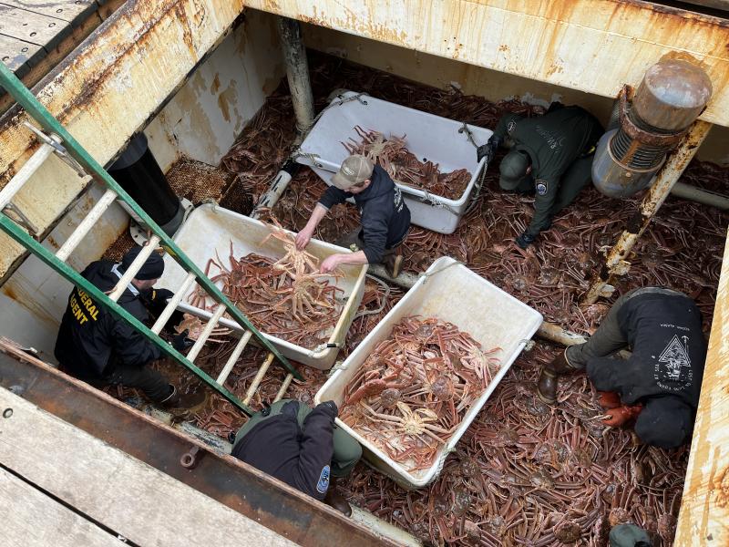 NOAA Fisheries Office of Law Enforcement special agent and Washington State Department of Fish and Wildlife Police officers seize Tanner crab on Corey Potters' crab catcher vessel F/V Arctic Dawn.